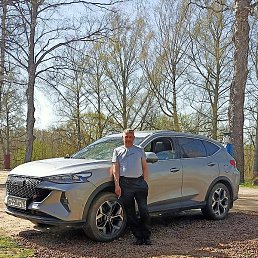 ������, �������, 56 ���