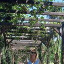 ���� ����, �����-���������, 50 ��� - ��������� 13 ���� 2025 � ������ ���� ����������