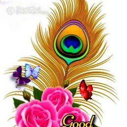 Yash Pal, ���-����, 36 ���
