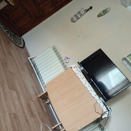 � ��, ������, 67 ���