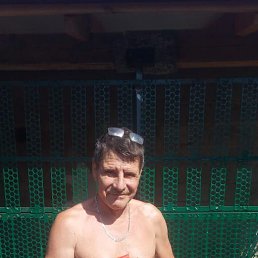 ������, 61 ���, ����