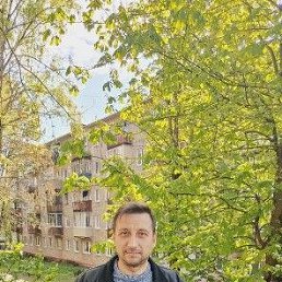 ���� ���������, �����, 42 ���� - ��������� 29 ������ 2024