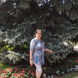 ������, ������, 72 ����