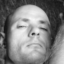 ���������, �������, 40 ���