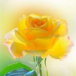 �����, �����, 46 ���