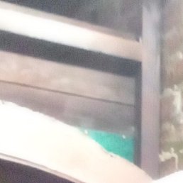 ������, ������, 51 ���