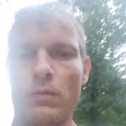 �������, �������, 41 ���