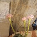 ���� ������, ������, 53 ���� - ��������� 1 ���� 2026 � ������ ������ ��������