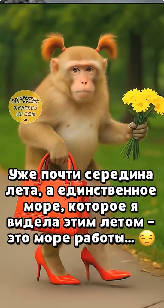 ������� - 24 ���� 2025 � 08:58