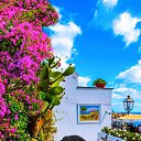 ���� Davron, ������������, 40 ��� - ��������� 24 ��� 2025