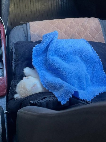 ������� ����� ���������� �������� � ��� ���������� � ����, ��� �������. ������� ����� �� ������. � ... - 2