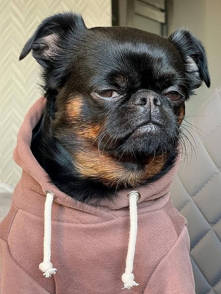 ϸ            .  ... - 6