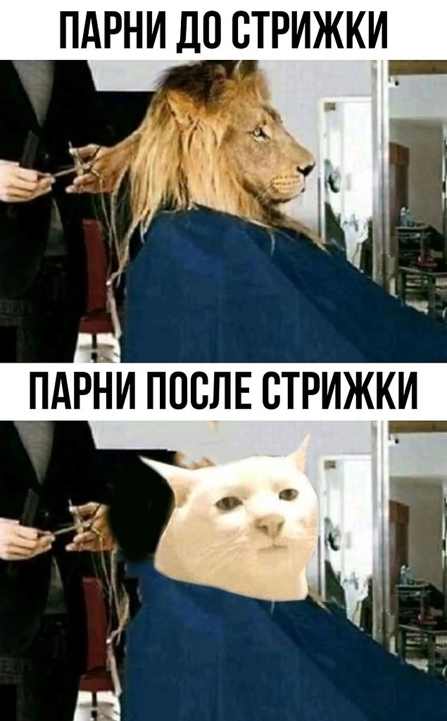 Вот так всегда
