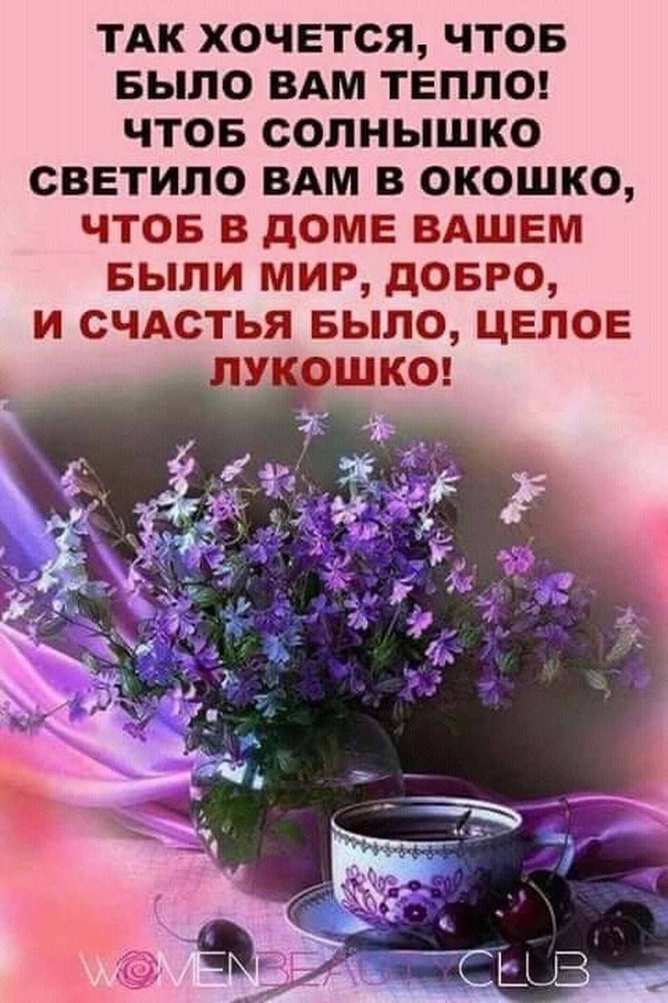 Леди Леди - 22 апреля 2025 в 07:23