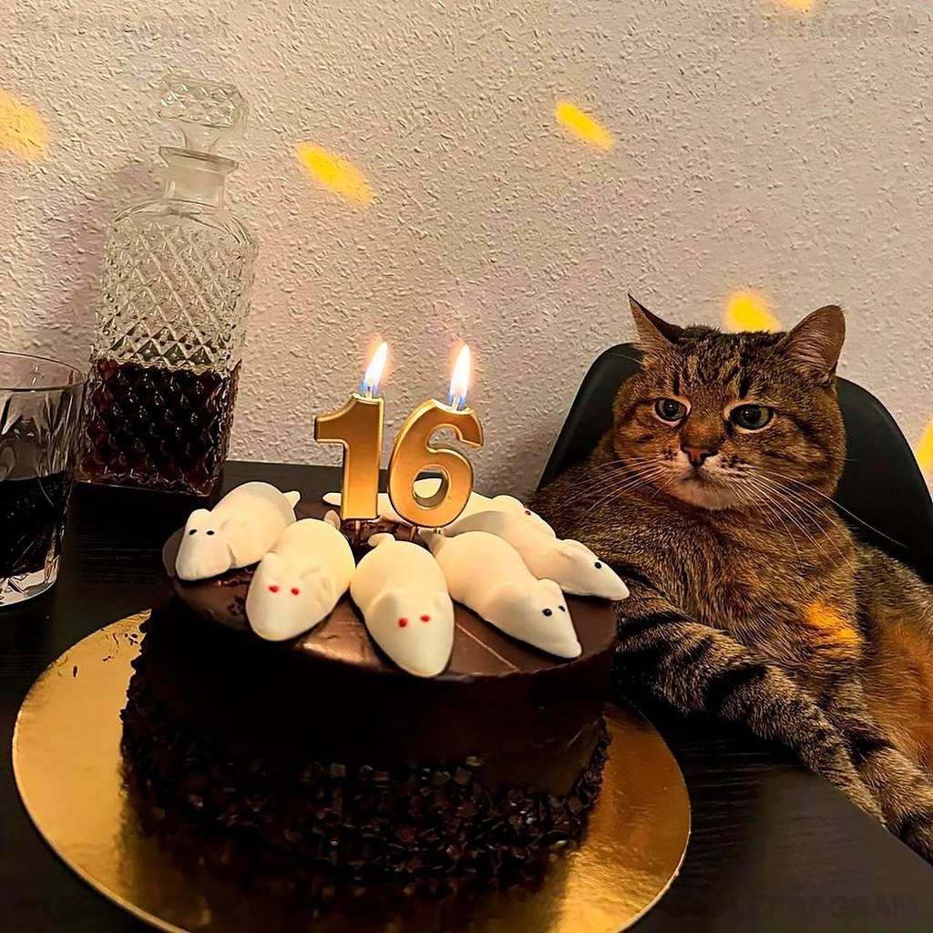      16  !