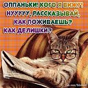 ���� ����, ������� - ��������� 17 ������� 2026