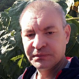 ��������, ������ ��������, 44 ����