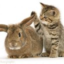 ���� ����, ����, 40 ��� - ��������� 13 ������� 2025 � ������ ���� ����������