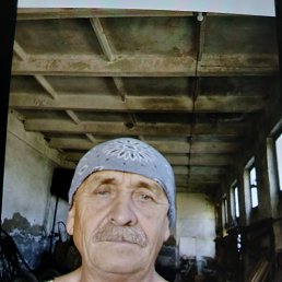 , 66, 