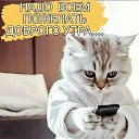 ���� ������, ������, 44 ���� - ��������� 9 ������ 2024