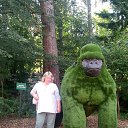 ���� �����, �������, 56 ��� - ��������� 2 ������� 2024