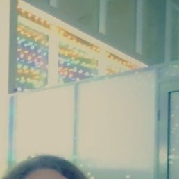 ������ ���������, �����, 51 ���