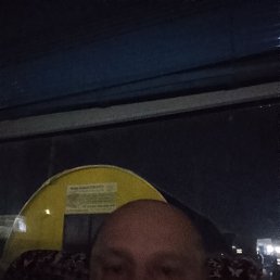 ����������, 56 ���, ������