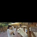���� ������ � ������, ������, 52 ���� - ��������� 10 ������� 2026 � ������ ���� ����������