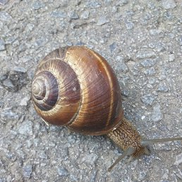 ���� ��������, �������, 43 ���� - ��������� 21 ��� 2025