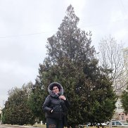 ����, 64 ����, ������