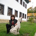 ���� ��������, ����, 43 ���� - ��������� 2 ������� 2024