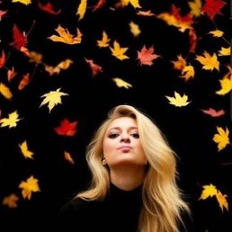 ���� ����, ���, 43 ���� - ��������� 5 ������ 2026