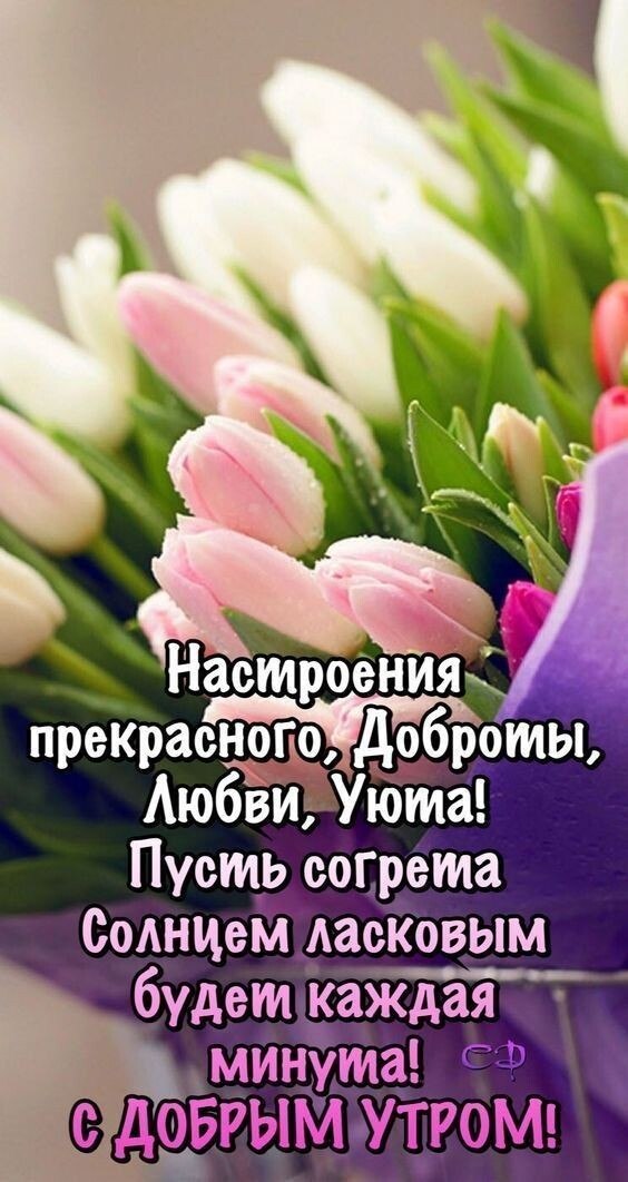 Море Цветов, Весны и Красоты! Любите и будьте любимыми! Нежные, чувственные, яркие, инвидуальные. ...