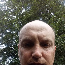 �������, 46 ���, �����������