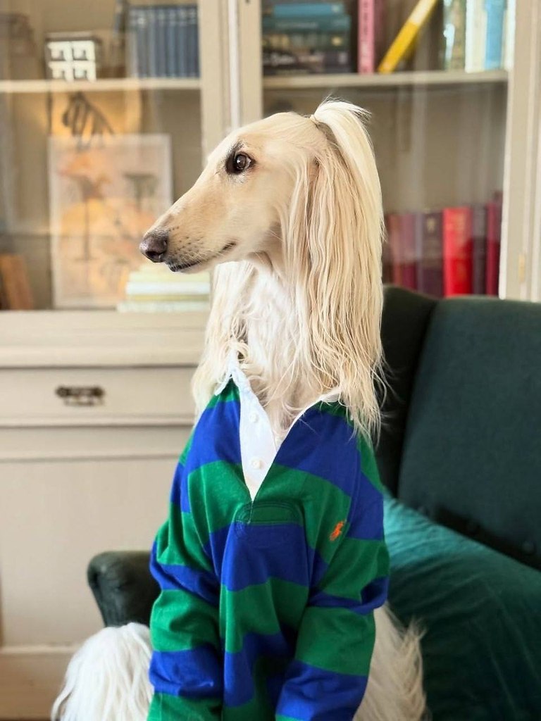  ,            .  ... - 7