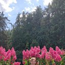���� Sergey, ����������� - ��������� 13 ���� 2026 � ������ ���� ����������