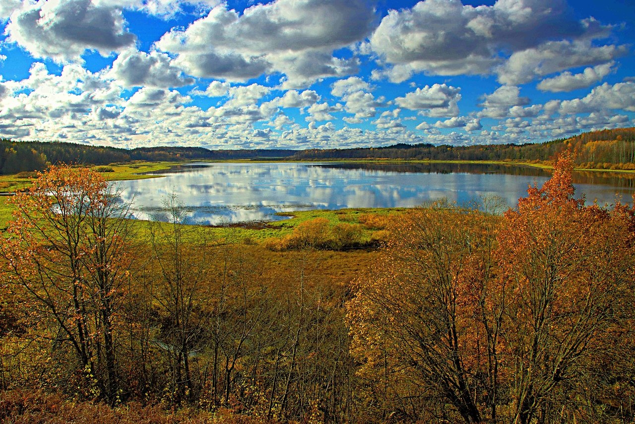 p.����. (�e�.o��) �ce��. - 2