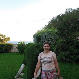 ���� ������, 33 ����, ����