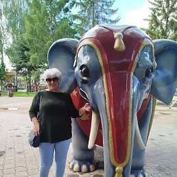 �������, ����������, 66 ���