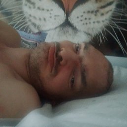 ���� ���, ����, 40 ��� - ��������� 24 ��� 2026