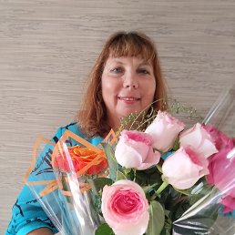 ���� �������, �����������, 48 ��� - ��������� 24 ����� 2026