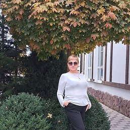 ������, ���������