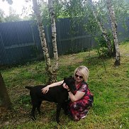 ����, 41 ���, ������