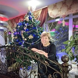 ���� ����, ������, 84 ���� - ��������� 29 ������� 2024