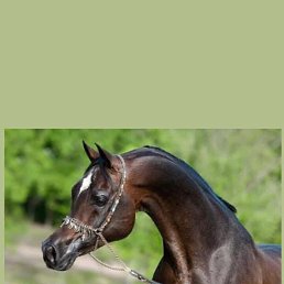 ���� Man, ��������, 20 ��� - ��������� 23 ���� 2025