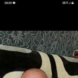 �������, 43 ����, �����