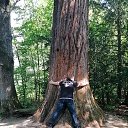 ���� Alexander, ������, 62 ���� - ��������� 1 ������� 2023 � ������ �������