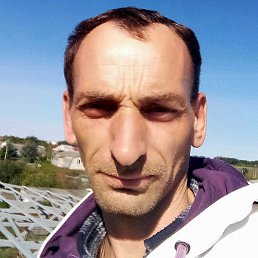 �����, �����������, 40 ���