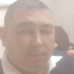 �����, �����-���������, 53 ����