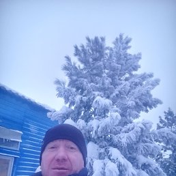 �����, 42 ����, ������